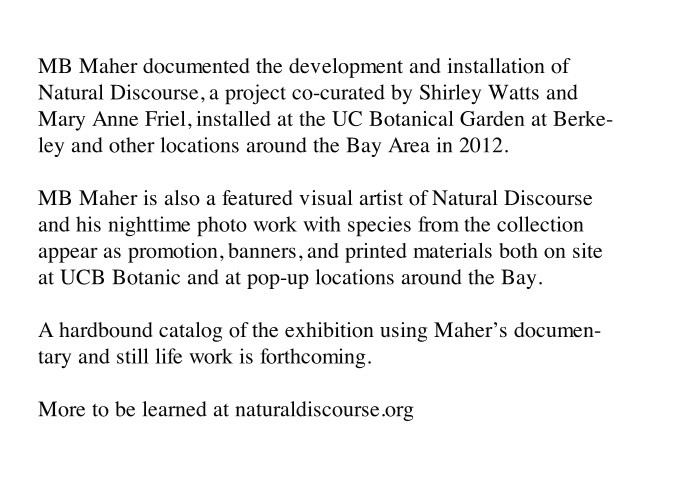 http://delta.mbmaher.com/files/gimgs/th-4_natural.jpg
